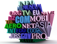 Domain Name Selection and Acquisition 