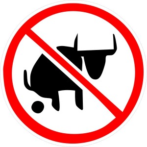 no-bullshit